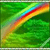 1719.gif