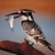 527.gif