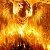 1338.gif