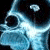 1774.gif