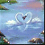 1560.gif