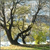 1497.gif
