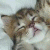 408.gif