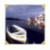 1335.gif