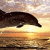 1053.gif
