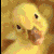 316.gif