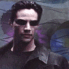 337.gif